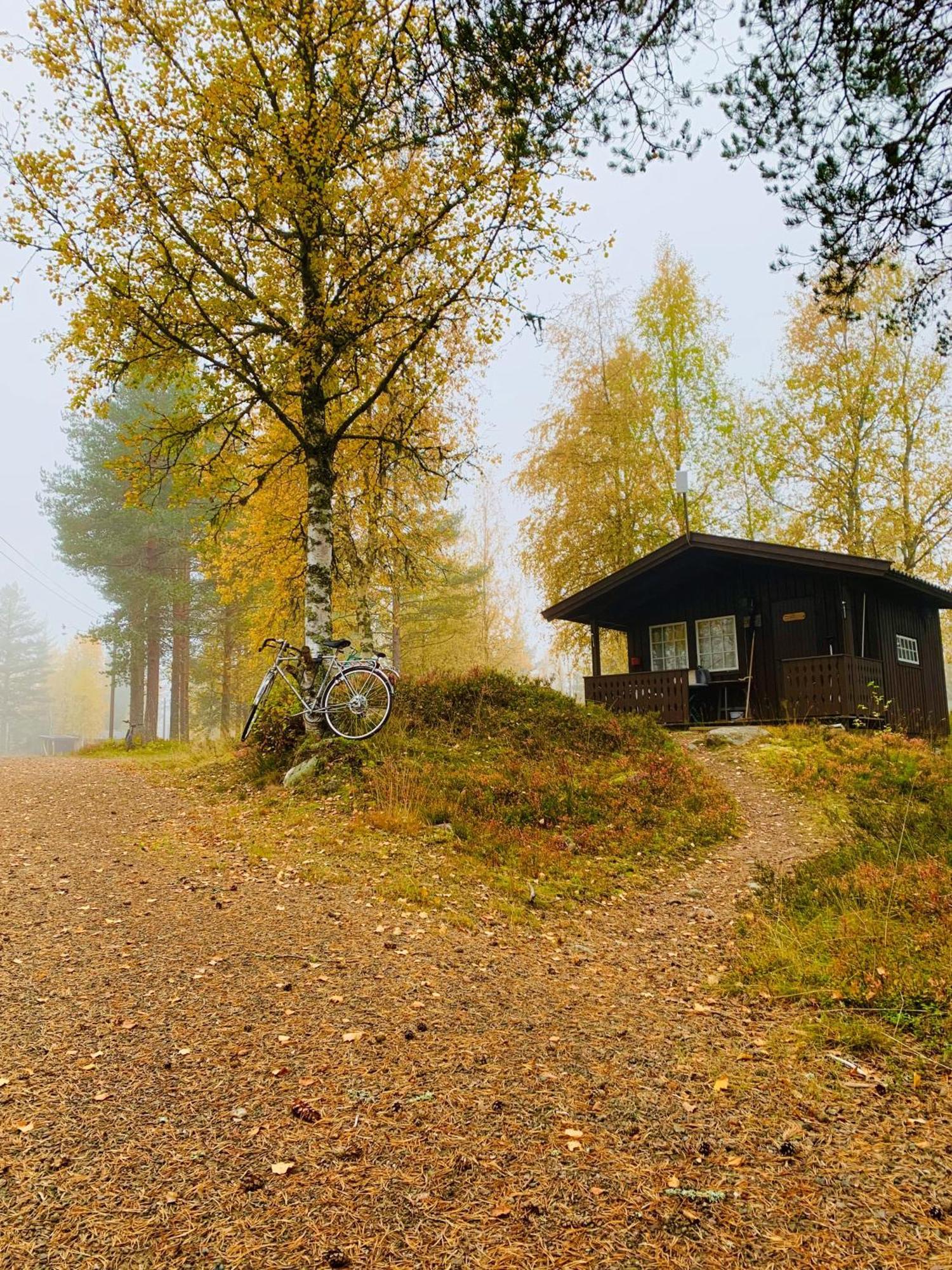 Saeterasen Hytter & Camping Trysil Zewnętrze zdjęcie