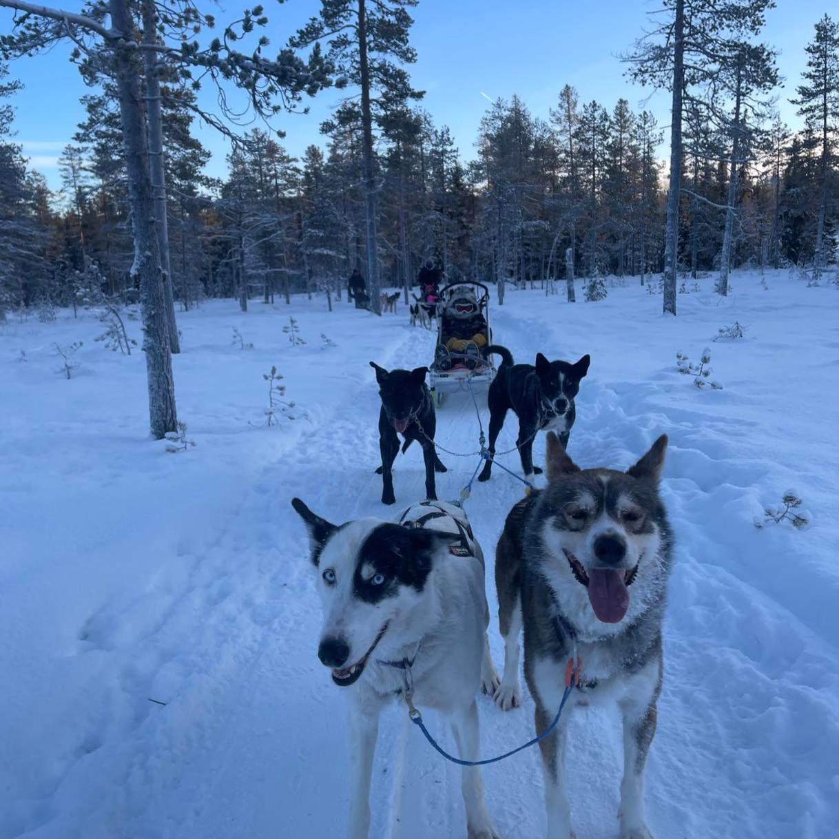 Saeterasen Hytter & Camping Trysil Zewnętrze zdjęcie