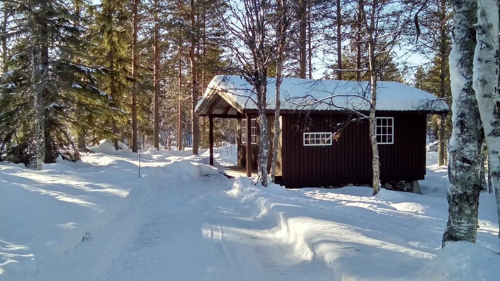 Saeterasen Hytter & Camping Trysil Zewnętrze zdjęcie