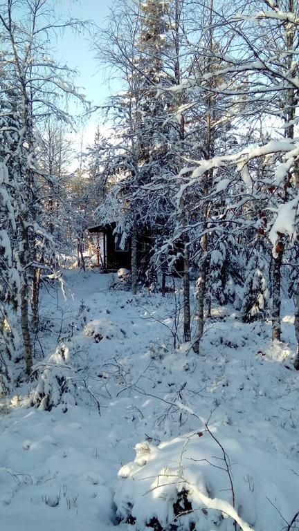 Saeterasen Hytter & Camping Trysil Zewnętrze zdjęcie